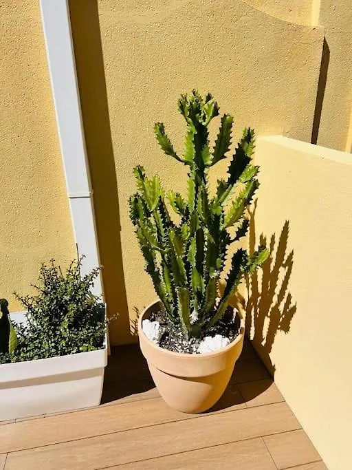 דירות טורמולינוס Penthouse, Solarium Sunshine & Pool